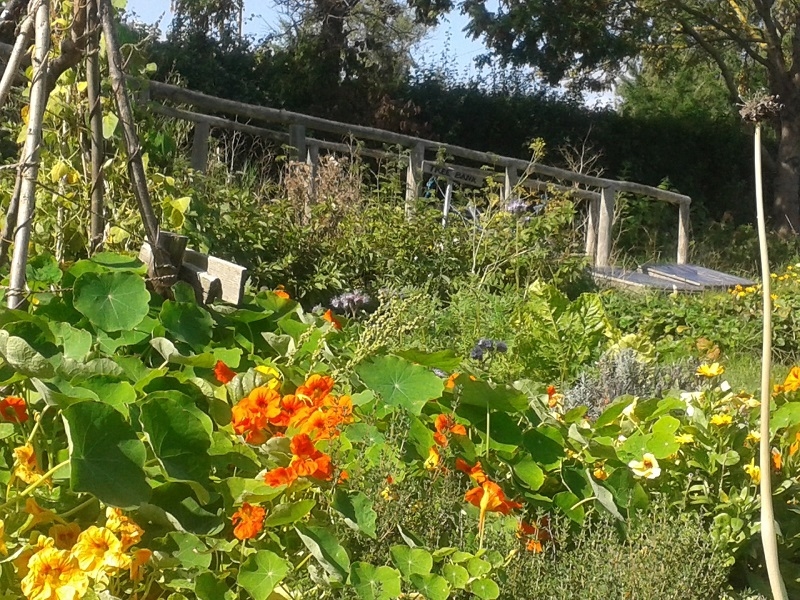 Whitstable Joy Lane Gardens